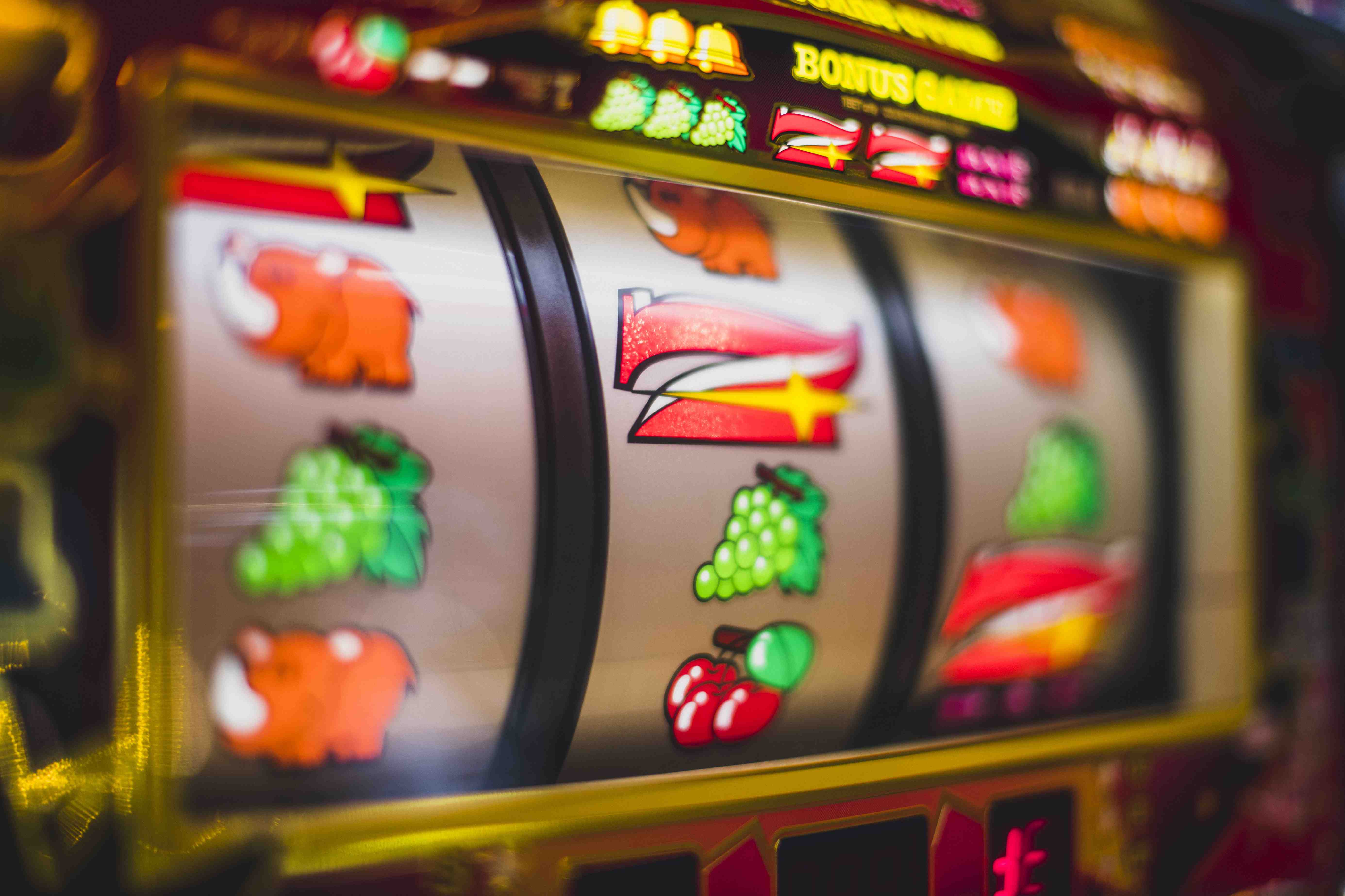 70000 sports and casino style entertainment section for adult users